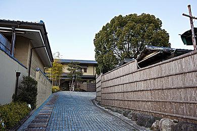 Switch《师父》推出实体收藏套装 功夫游戏迷必买